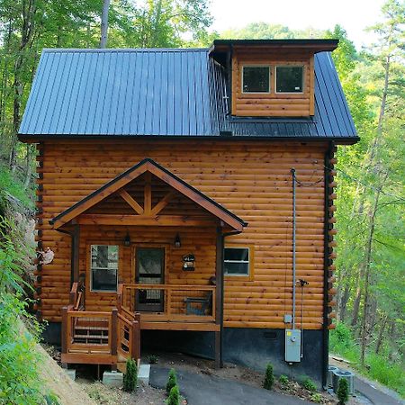 Hawks Nest Mountain Cabin 塞维尔维尔 外观 照片