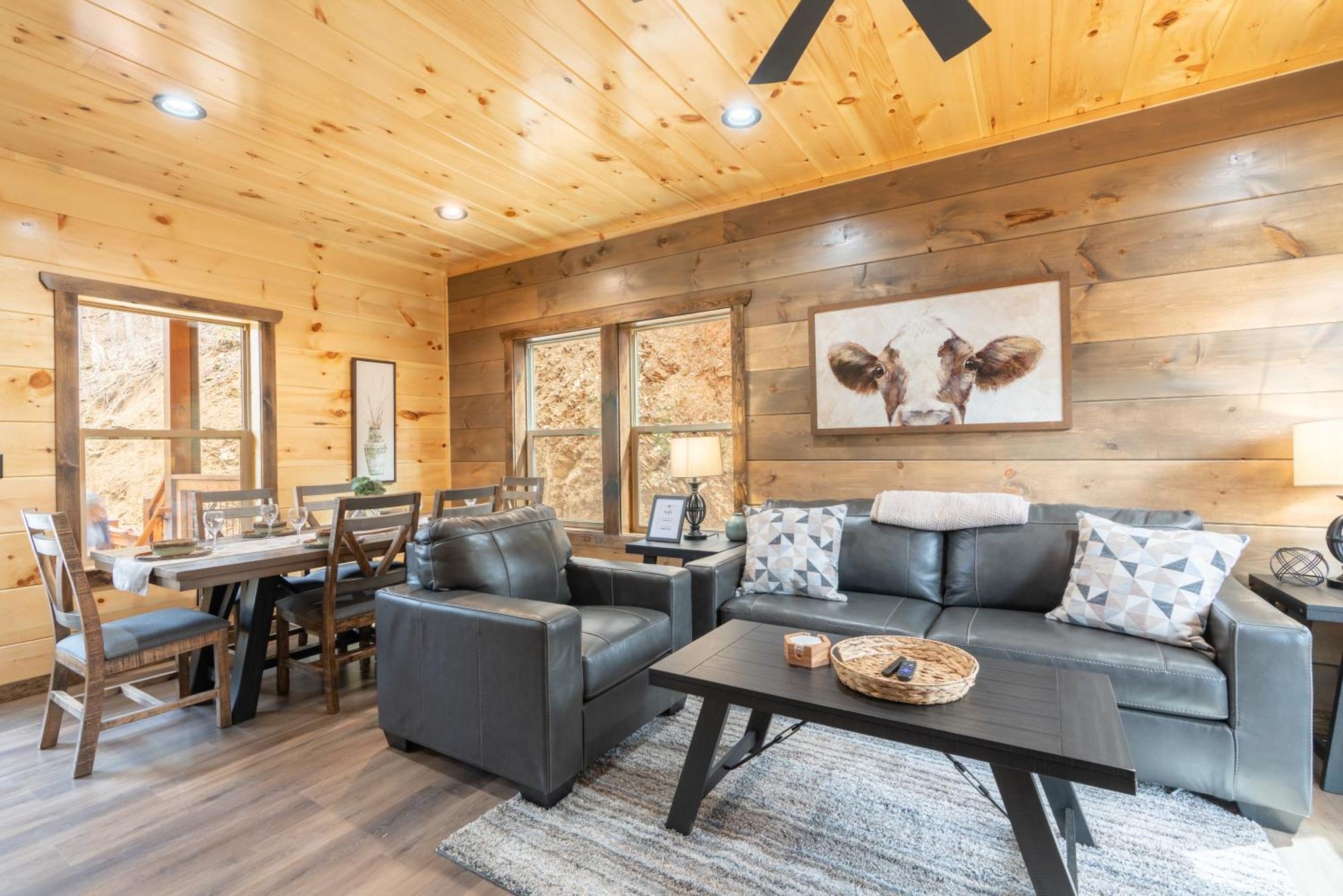 Hawks Nest Mountain Cabin 塞维尔维尔 外观 照片