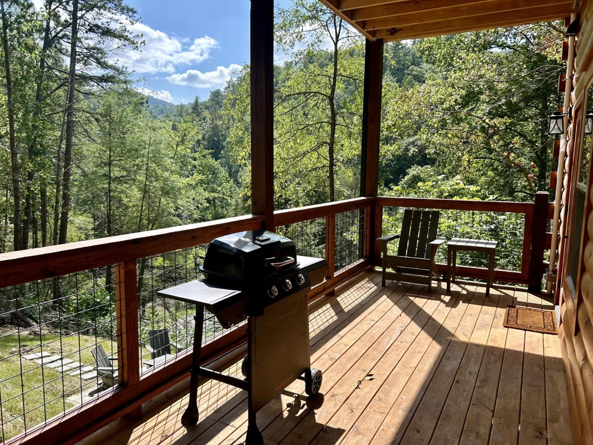 Hawks Nest Mountain Cabin 塞维尔维尔 外观 照片
