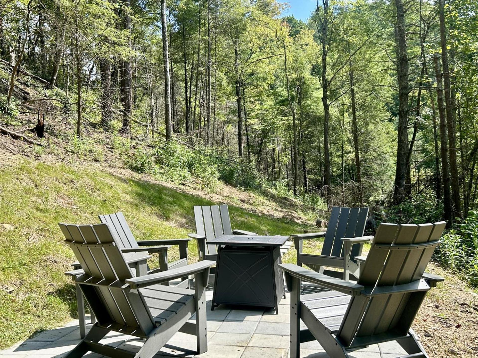 Hawks Nest Mountain Cabin 塞维尔维尔 外观 照片