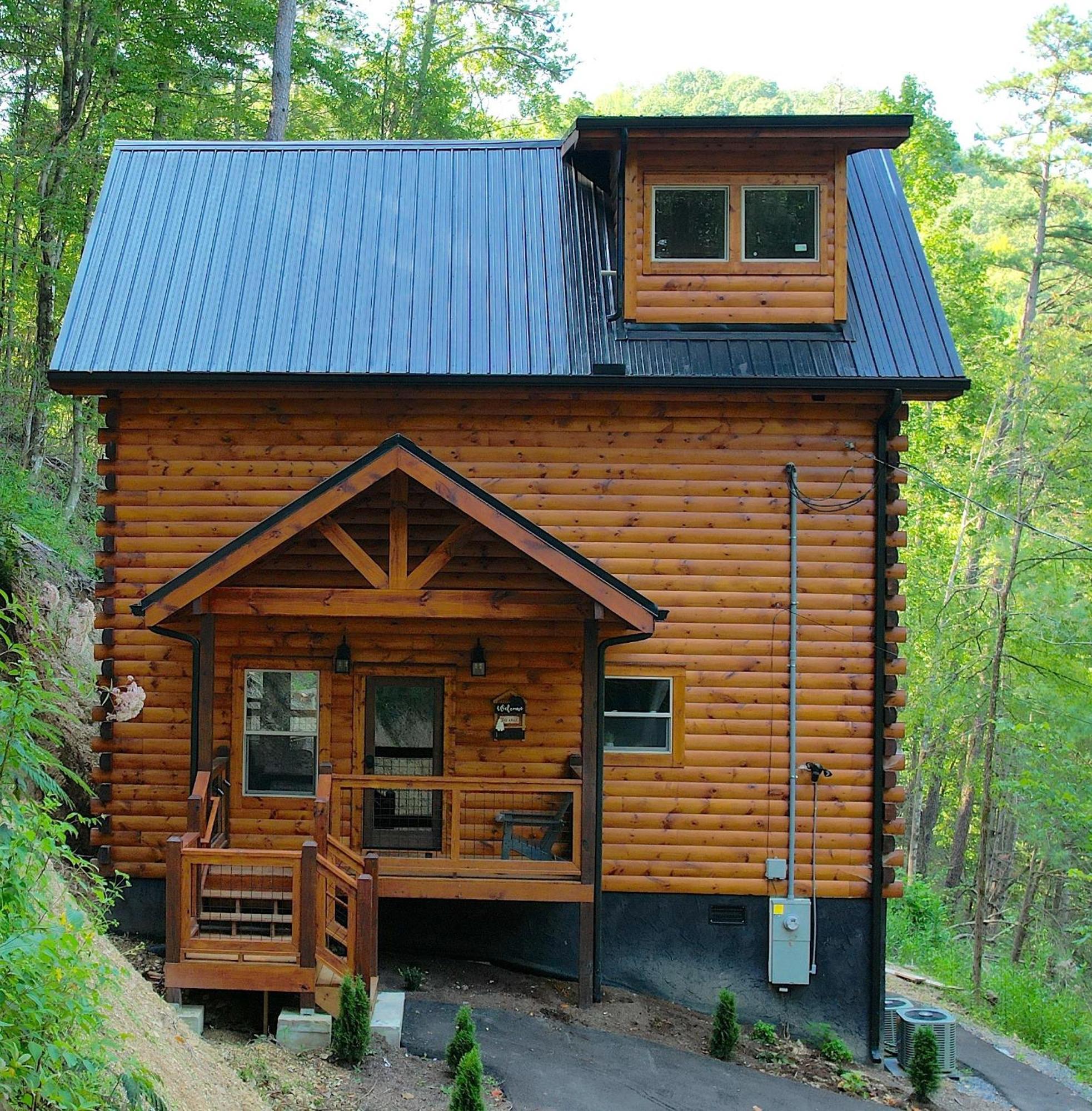 Hawks Nest Mountain Cabin 塞维尔维尔 外观 照片
